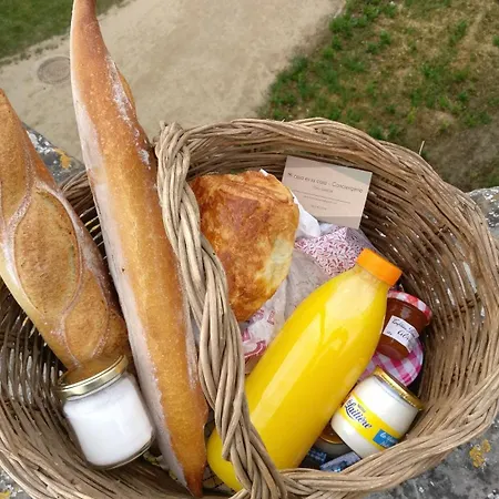Le Nid Urbain, Terrasse, Garage Et Confort * Carcassonne